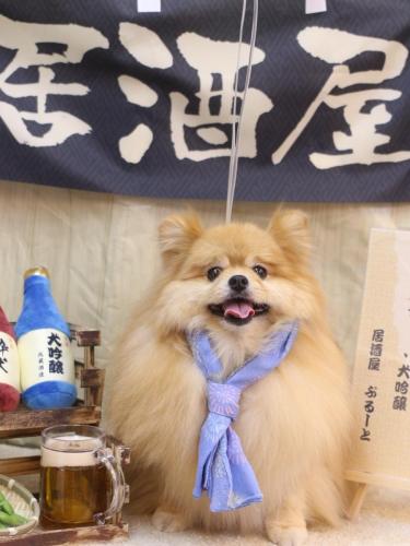 20240623梛都ちゃん